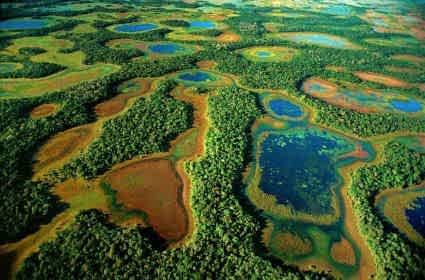 Dünyanın en büyük bataklığı nerededir? 